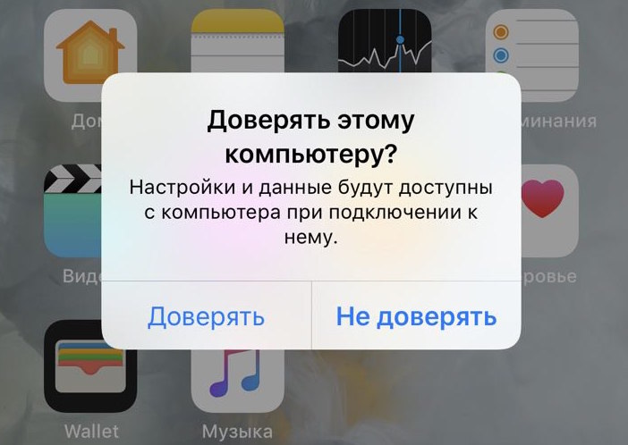 Скопировать Фото С Iphone Через Itunes