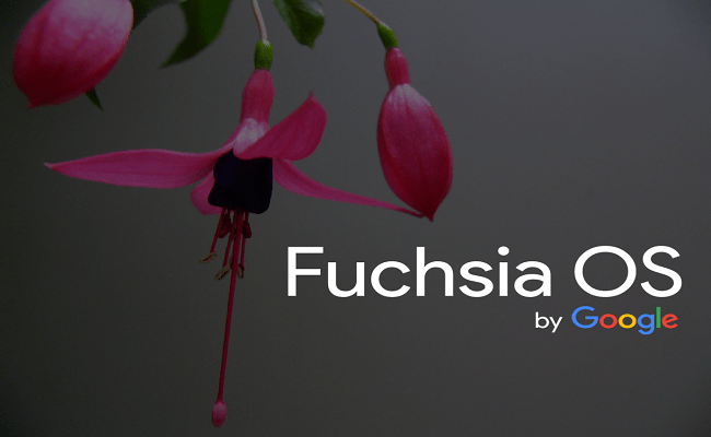 Fuchsia OS 1