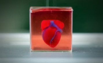 Сердце на 3D-принтере