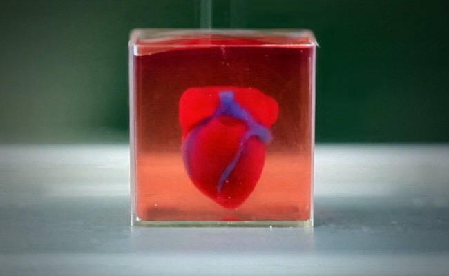 Сердце на 3D-принтере