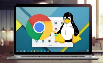 Chrome OS и Linux