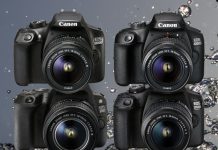 Топ-8 камер для начинающих фотографов: сравнительный обзор